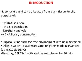 does autoclaving kill rnase|can rnase be inactivated.